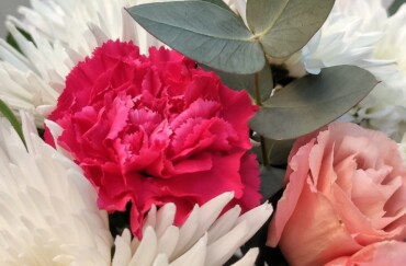 Cadouri, flori, surprize si emotii cu livrare in Ungheni