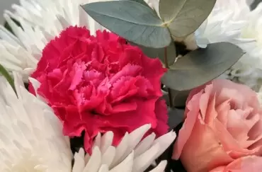 Cadouri, flori, surprize si emotii cu livrare in Ungheni