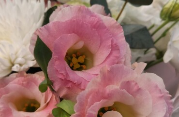 Cadouri, flori, surprize si emotii cu livrare in Rezina