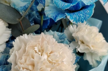 Cadouri, flori, surprize și emoții cu livrare în Dondușeni