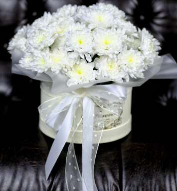 Crizantema alba in cutie medie