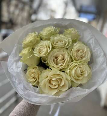 Buchet din 11 trandafiri albi (60 cm)